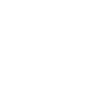 dtexsystems-logo